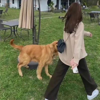 最后一舞